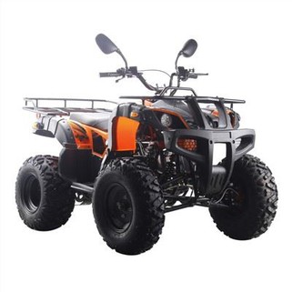 250cc ATV クワッド バイク